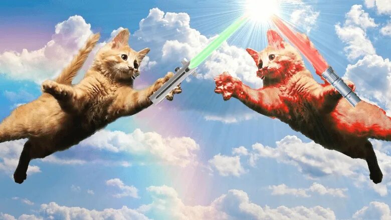 Смешные обои с котами мемы Wallpaper : drawing, illustration, cartoon, science fiction, kittens, Alien vs P