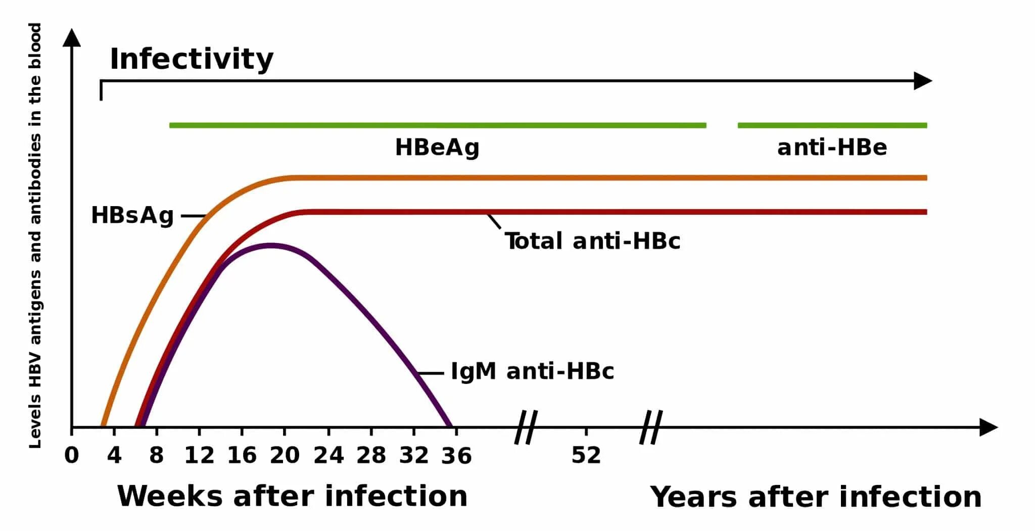 HBEAG. HBSAG. HBSAG И HBEAG отличия. Маркеры HBV.