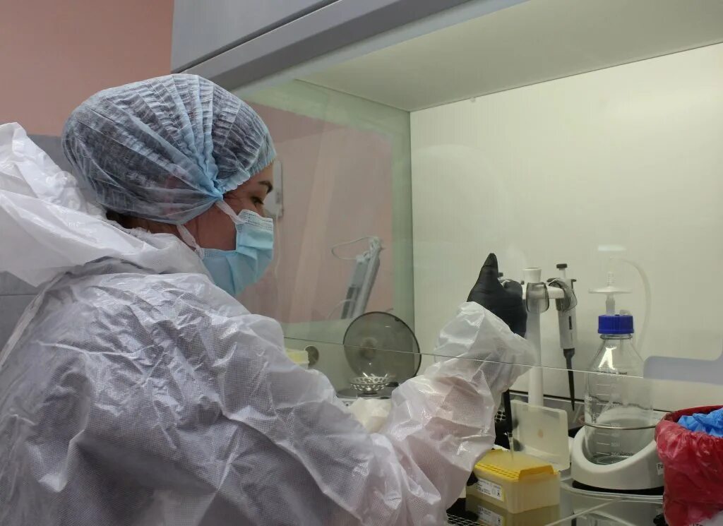 полярные зори больница. 118 медсанчасть полярные зори. полярные зори поликлиника мсч 118. полярные зори поликлиника мсч 118. сайт мсч 118 г.