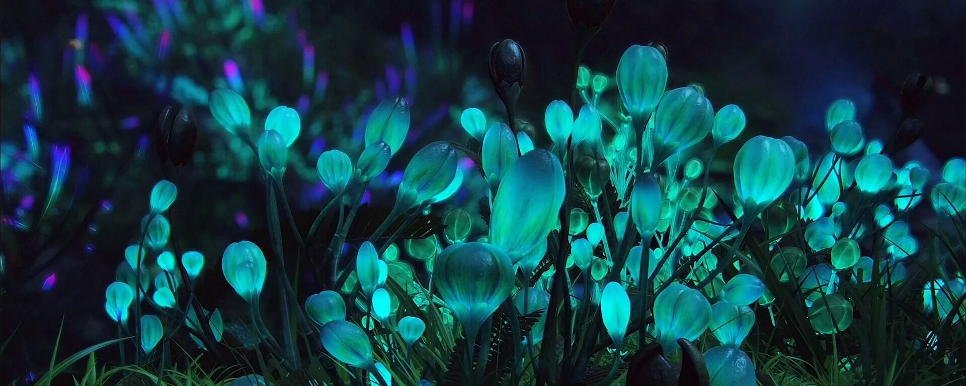 светящиеся ягоды. светящиеся ягоды. биолюминесцентные растения. малина неон. элизабет джонсон.