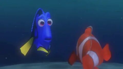 Dory marlin