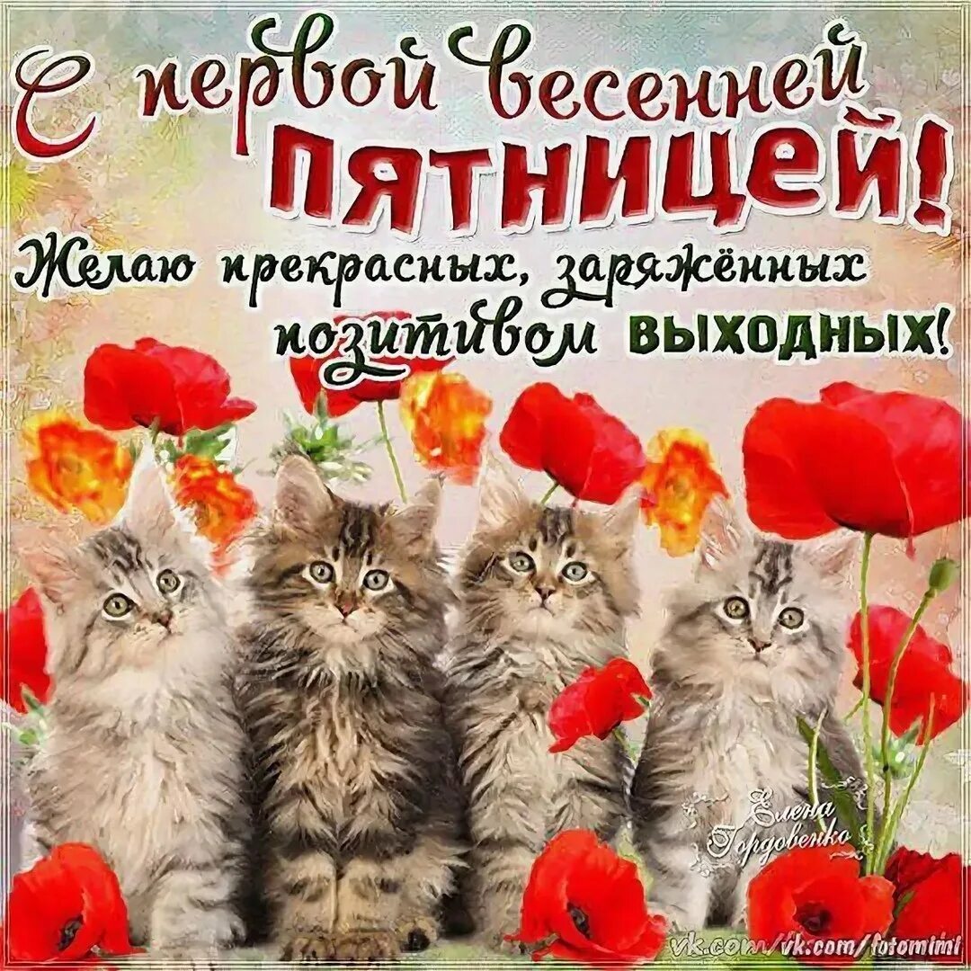 Доброе весеннее утро пятницы и хорошего дня. Поздравление с пятницей. пятница открытки красивые. открытки с пятницей. отличной пятницы.