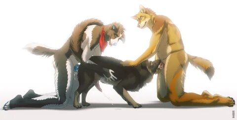 Slideshow gay furry cat and dog pr.