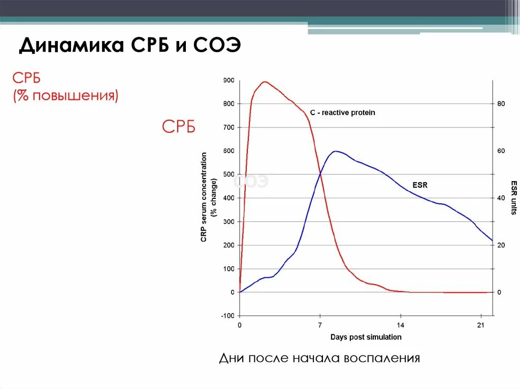 Соэ белок. Динамика СРБ И СОЭ. СОЭ И СРБ повышен. СОЭ И С реактивный белок. C реактивный белок скорость оседания эритроцитов.