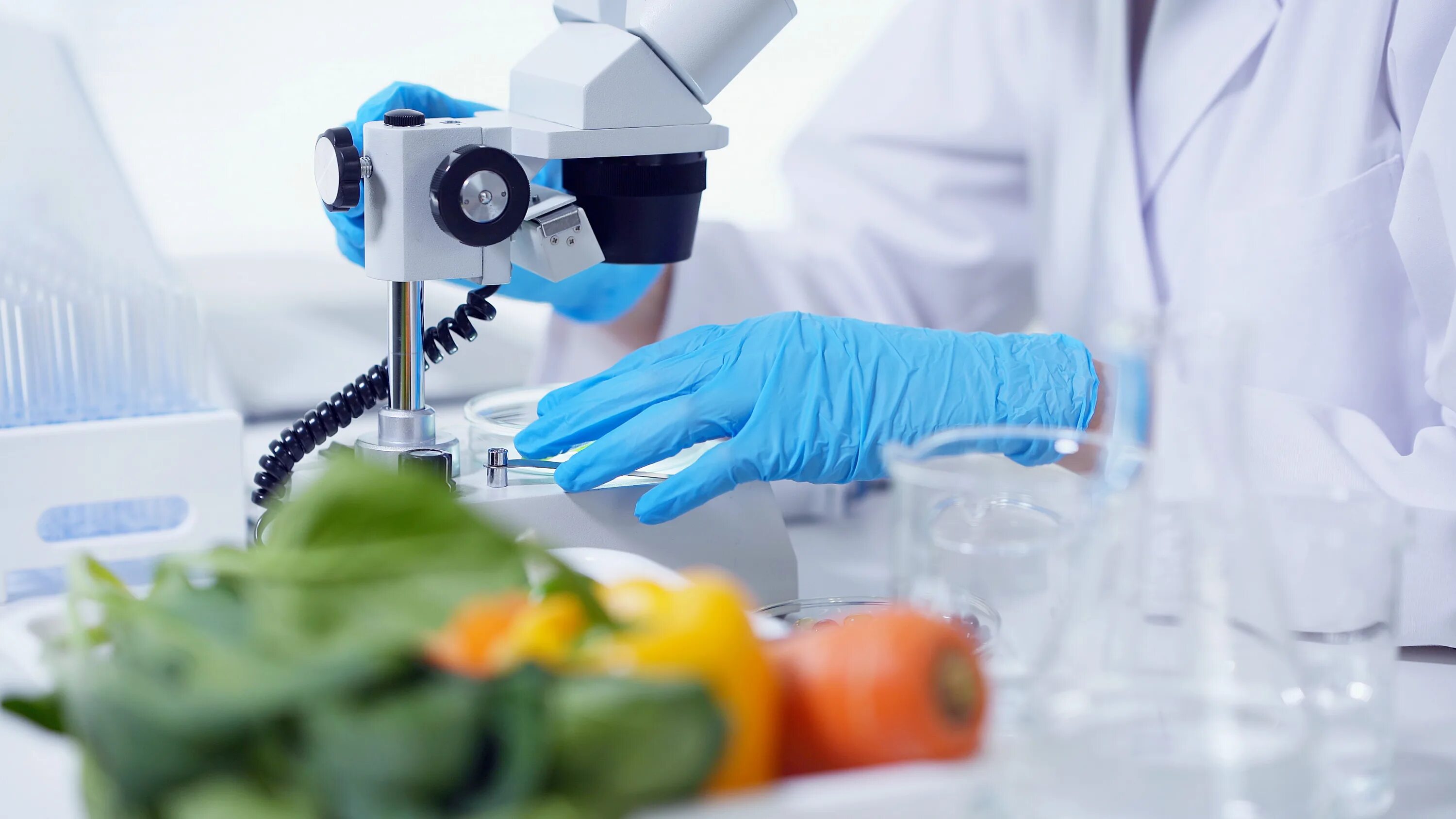 Научные достижения в области пищевых биотехнологий. Биотехнология пищевых продуктов. Пищевая биотехнология. Биотехнологии в пищевой промышленности. Биотехнологии в промышленности.