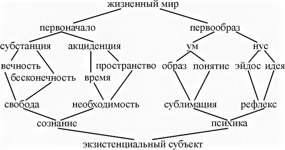 Жизненный мир пример