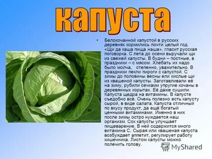 Пишется капуста или капуста