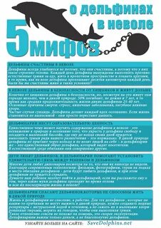 Дельфин текст