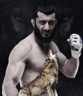 Ясина халидов