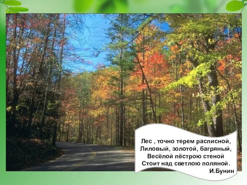Пестрою стеной