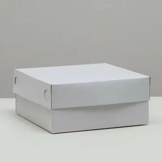 Packaging 22