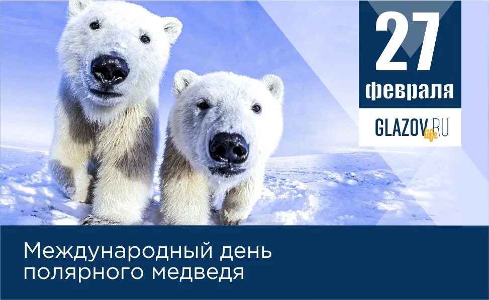 День белого полярного медведя. День полярного медведя. День белого полярного медведя 27 февраля. День белого полярного медведя 27 февраля. День белого медведя.