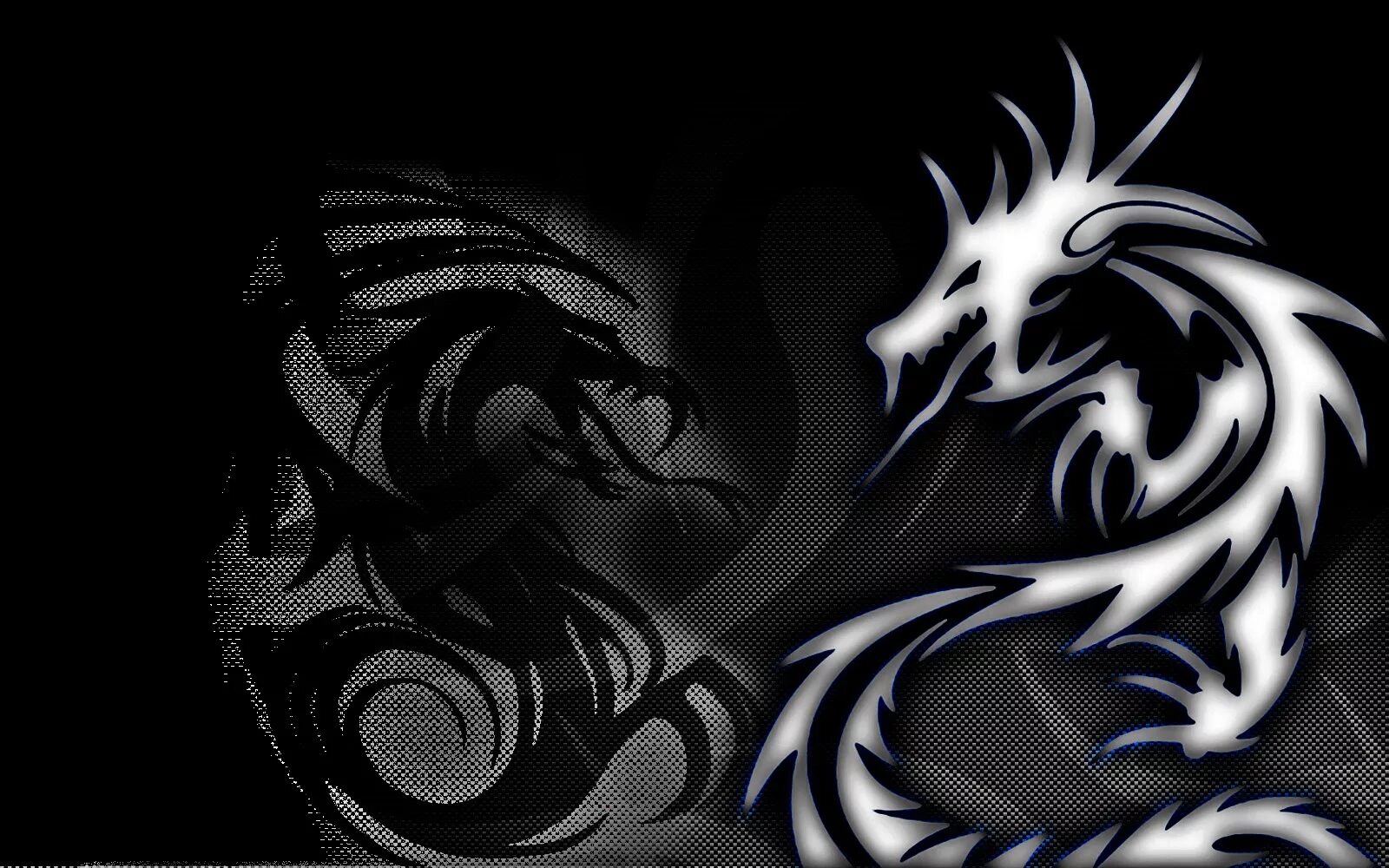 Обои черный дракон. Теневой Шедоу дракон. Черный дракон. Дракон на черном фоне. Белый дракон на черном фоне.