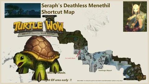 Wow turtle