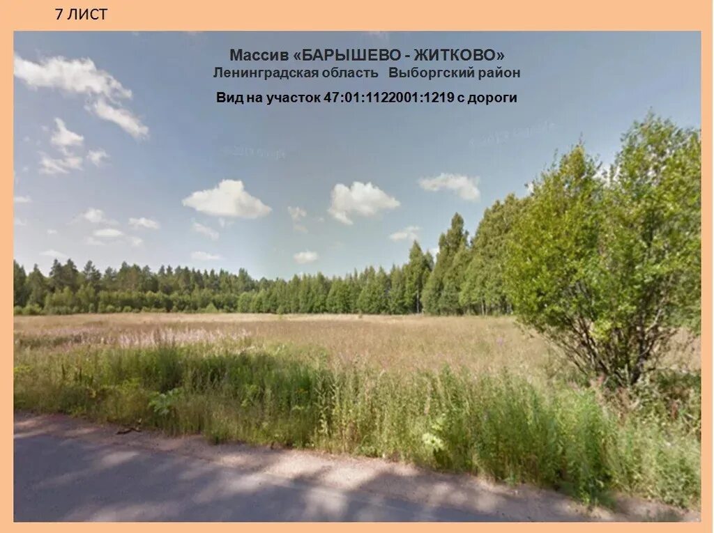 Поселок житково. Погода в житково. Житково ленинградская область. Погода в житково. Житково ленинградская область.