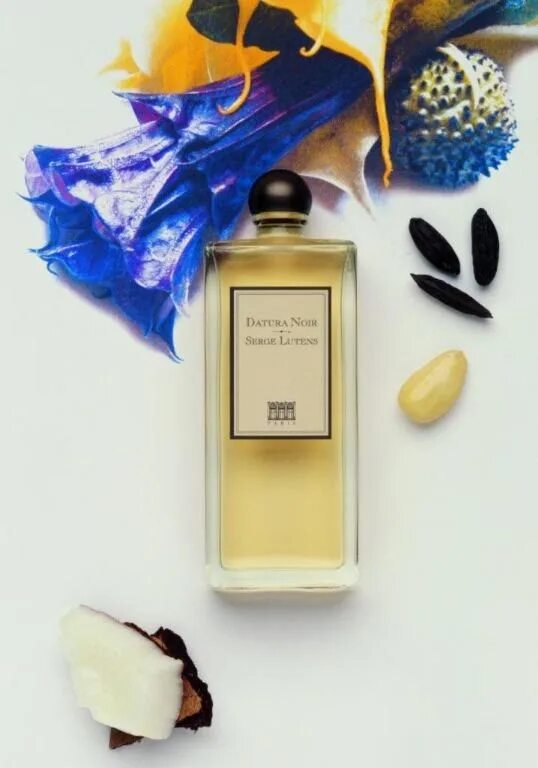 Datura noir. Serge lutens datura noir. серж лютанс ароматы. духи серж лютенс. черный дурман серж лютенс.