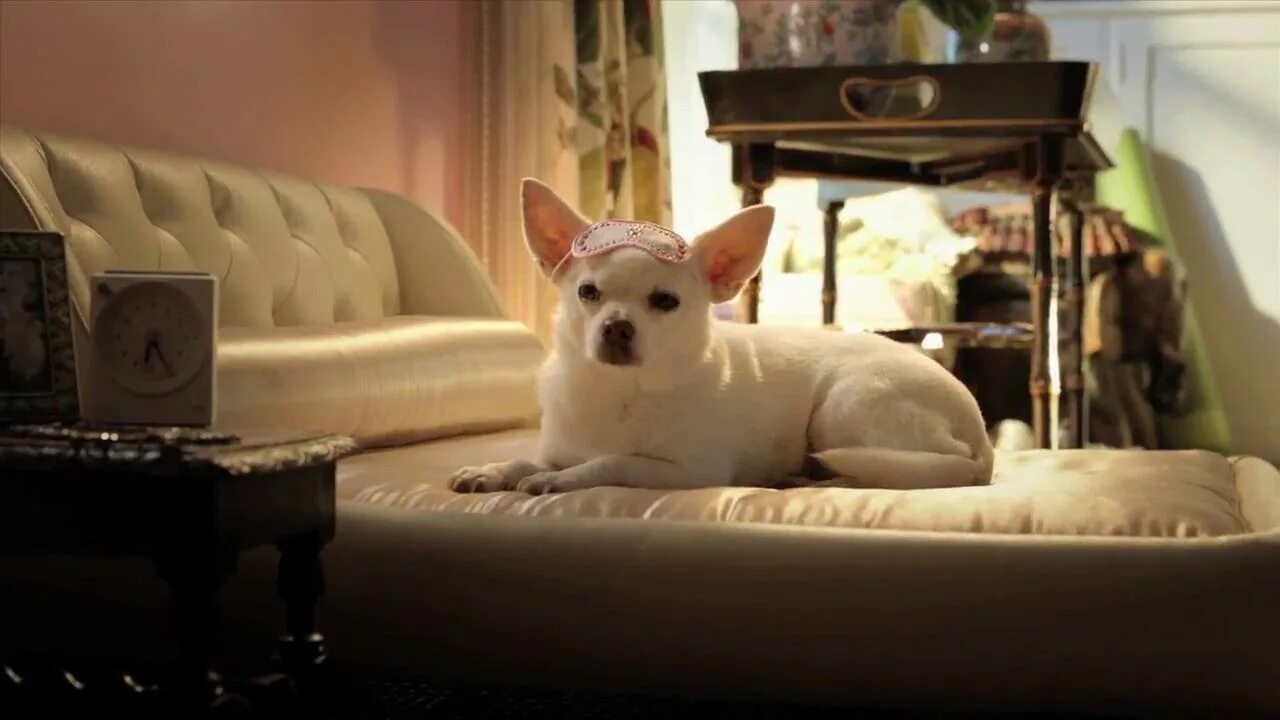 крошка из беверли хиллз 3