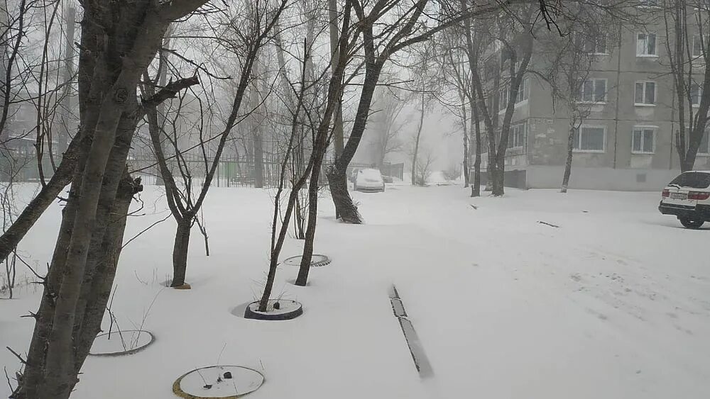 Жители хабаровска. Снег в хабаровске. Снег сейчас в хабаровске. Хабаровск в снегу фото. Снегопад в хабаровске.