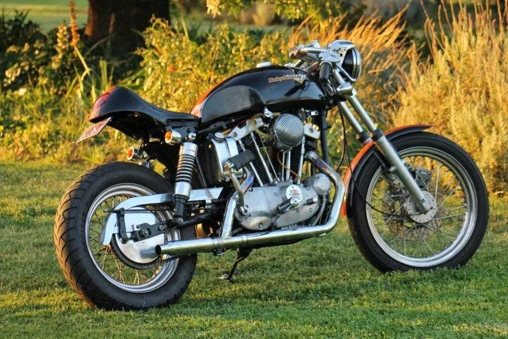 Peters bike. Харлей Дэвидсон 1971. Харлей Дэвидсон аронхед. Iron head Harley Davidson. Iron head Sportster 1984.