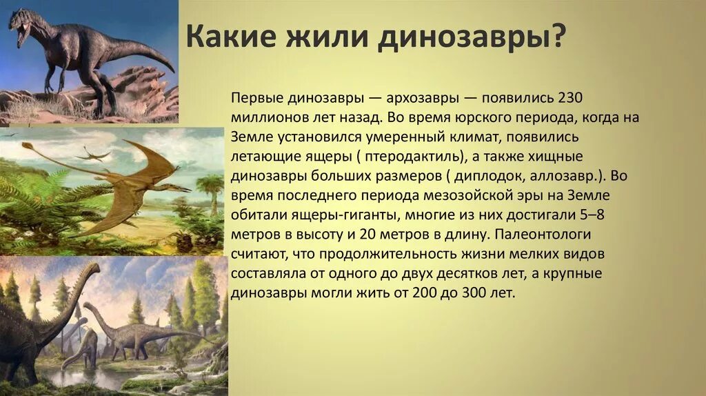 Когда жили динозавры урок. Первые динозавры. Когда жили динозавры. Периоды в которых жили динозавры. Жизнь и гибель динозавров на планете земля.