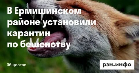 Карантин по бешенству в москве 2024