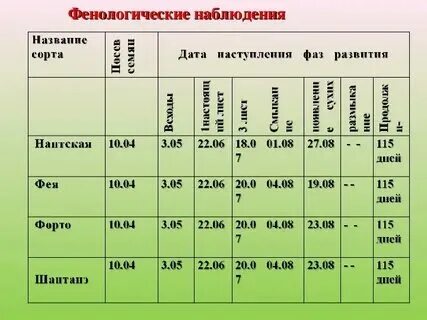 Значение фенологических наблюдений. Значение фенологических наблюдений