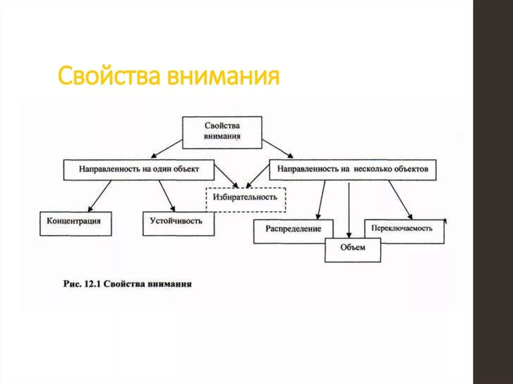 Виды внимания в психологии. Примеры внимания в психологии. Внимание понятие и виды. Свойства внимания. Внимание это простыми словами