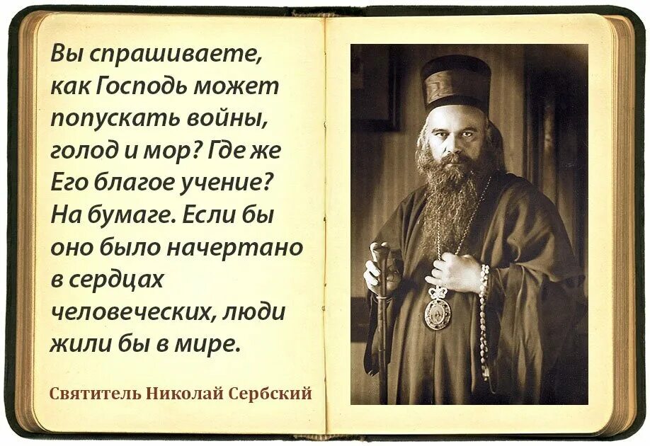 Книги созданы страданием и любовью к людям. Изречения Николая сербского.