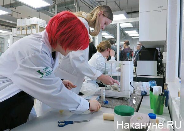 Лаборатории урфу. Лаборатории урфу