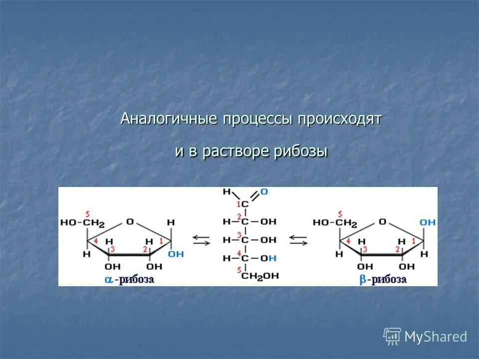 Рибоза реакция гидролиза