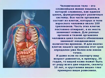 R тела