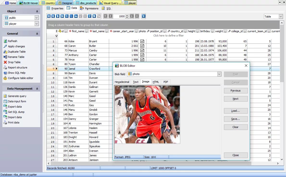 Html5 video blob. Blob тип данных sql. тип данных блоб. sql maestro для mysql. blob формат.