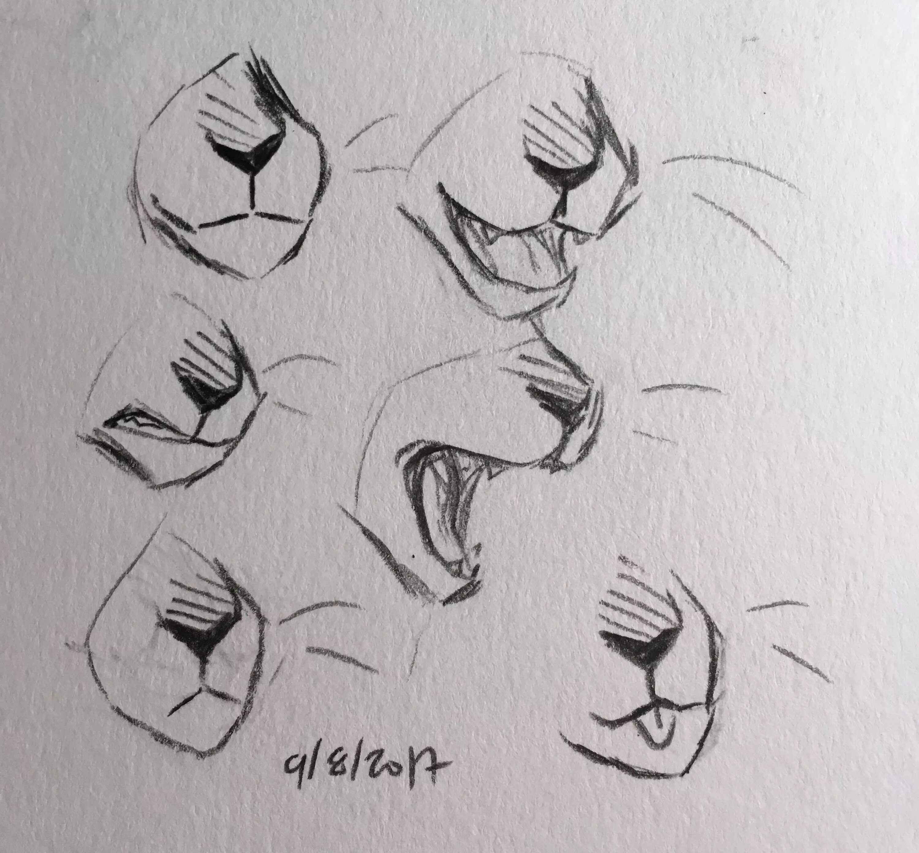 Cats tutorials