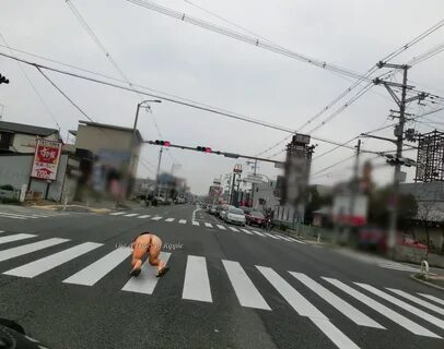野 外 露 出 道 路 ニ コ ニ コ.