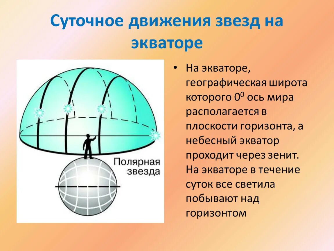 На экваторе всегда. Видимое суточное движение звезд. Суточное движение звезд на разных широтах. Суточное движение светил. Движение звезд на экваторе.