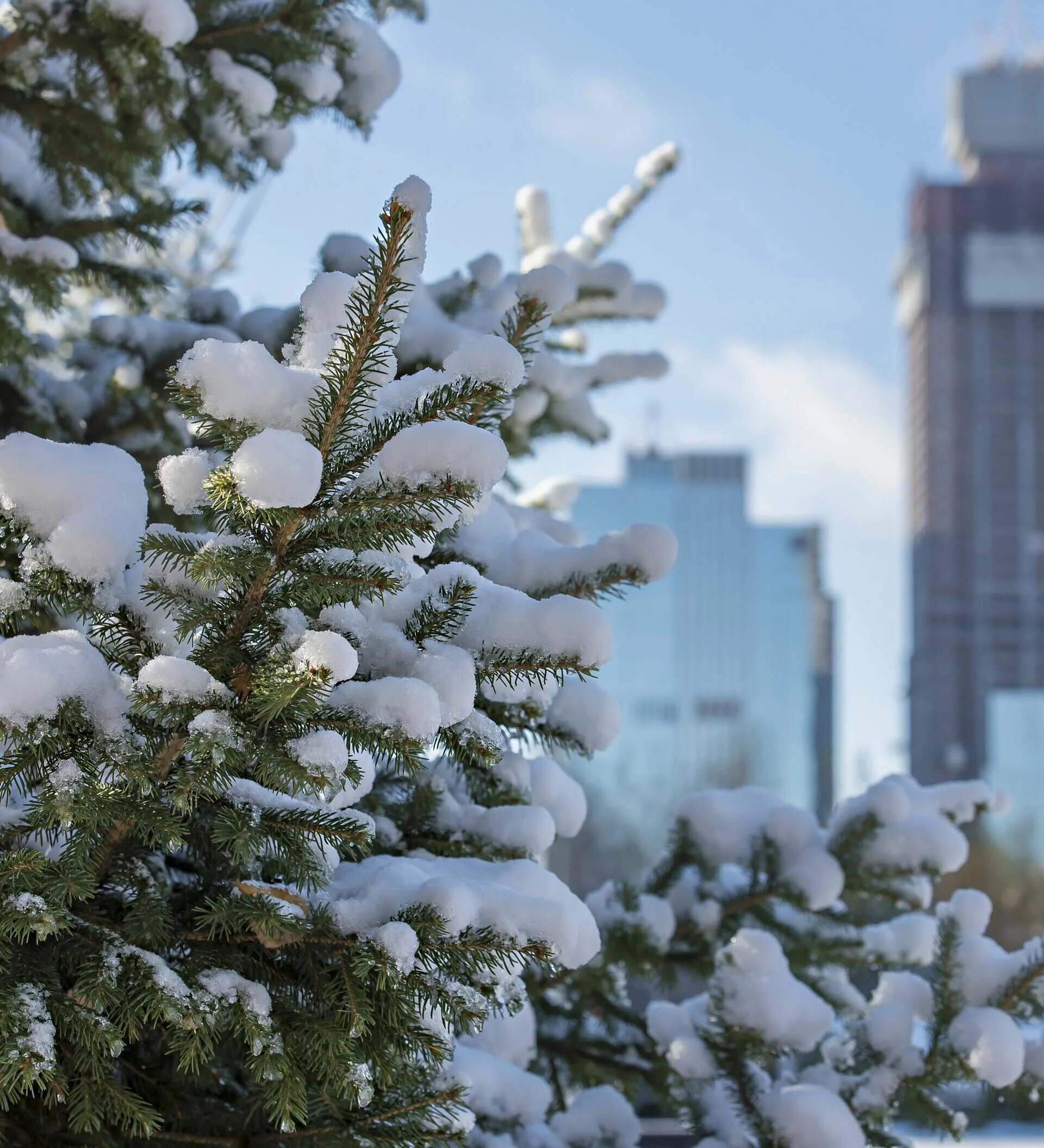 Астана январь. Зимняя Астана. Казахстан в декабре. Какая зима в Казахстане. Астана зимой.