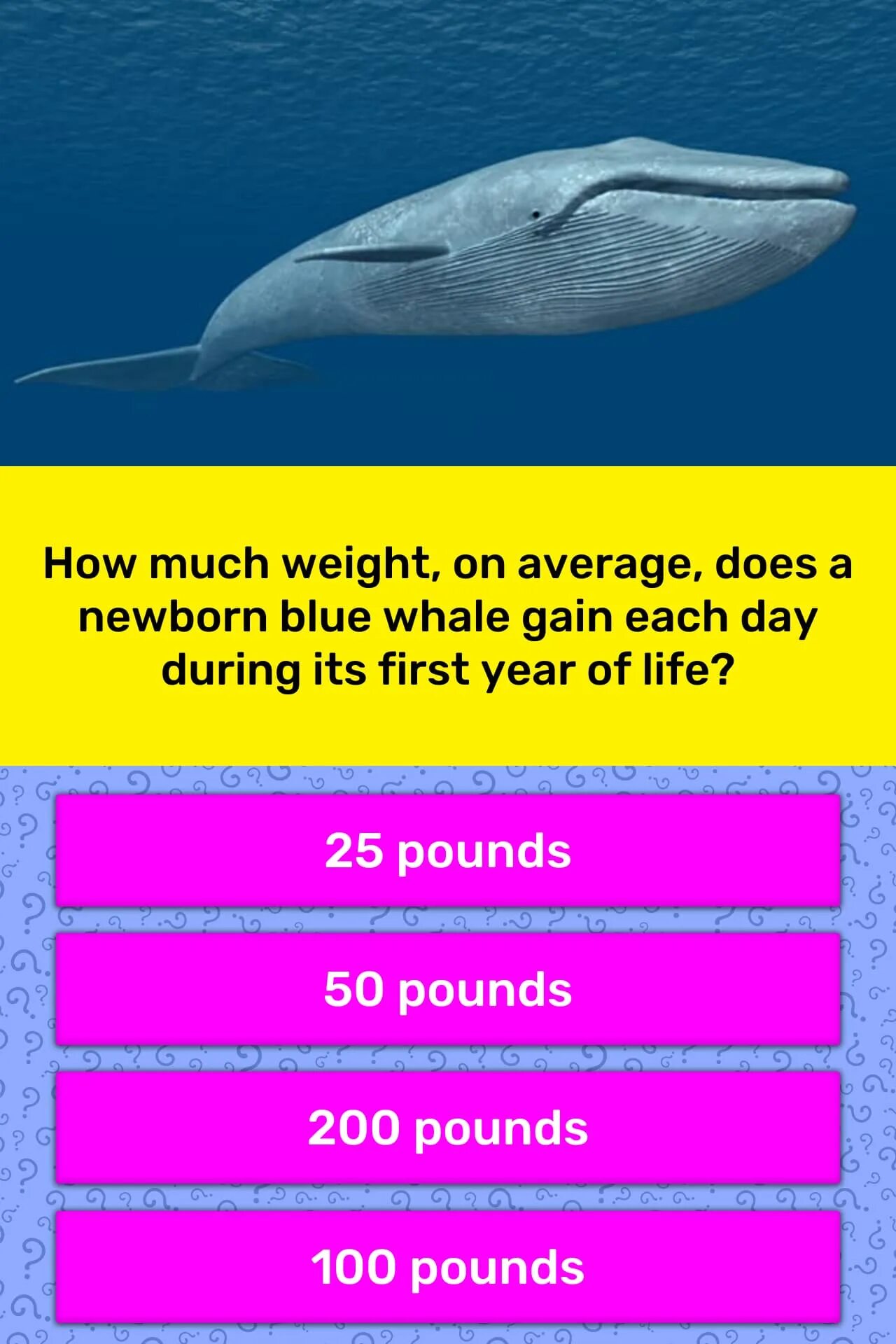 Lose weight. Фон для сторис похудение. Weight in english. Потеря веса. Для похудения.