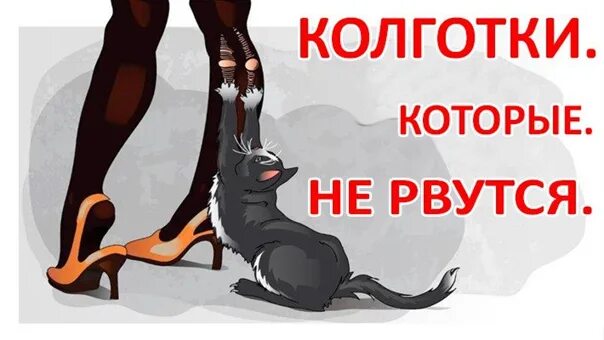 Колготки которые не рвутся. Колготки которые не рвутся валберис. Женские колготки которые не рвутся. Кот в колготках.