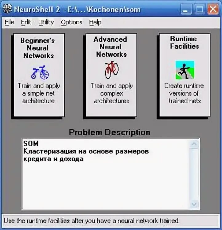 Network runtime