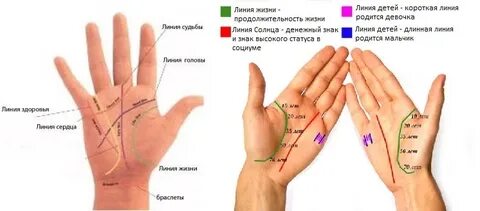 Линия жизни как понимать