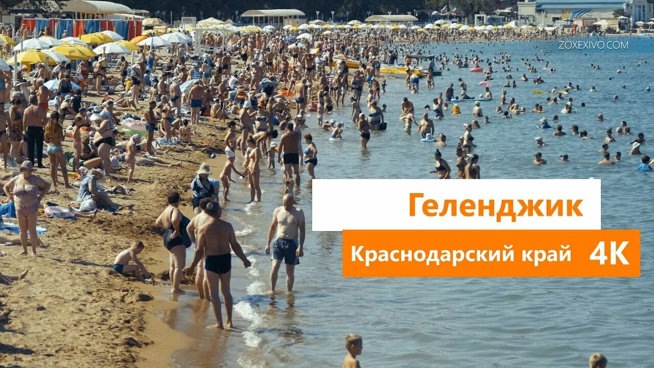 Население геленджика на 2023. Население Геленджика на 2021. Самая длинная набережная в Крыму.