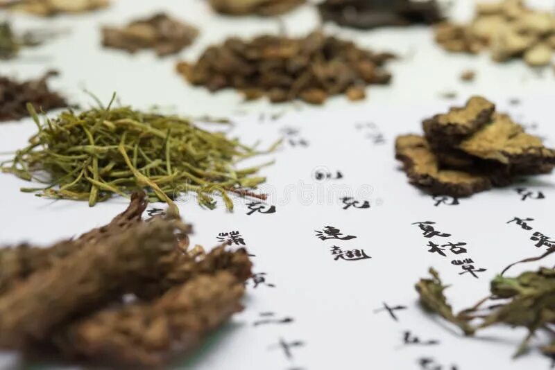 Source 3020 Mao xu cao chino tradicional hierba para riñón Spicate Clerodendrant