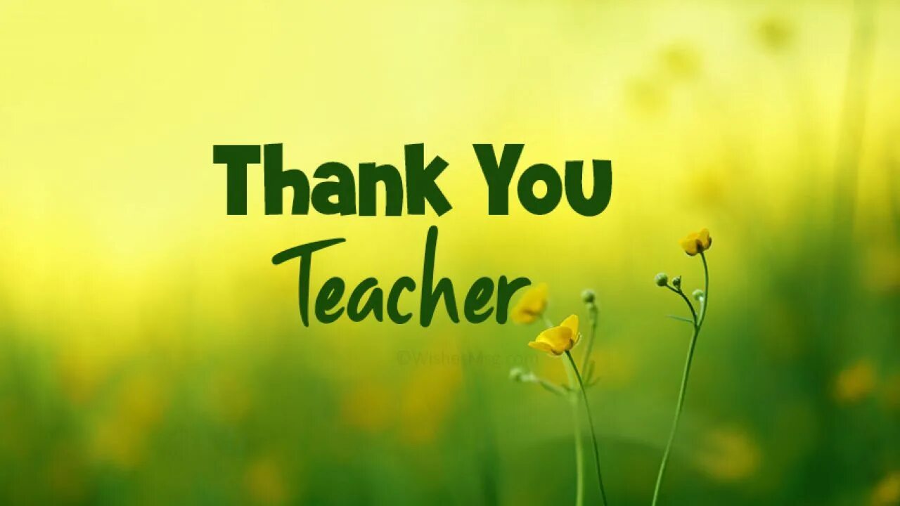 Thank you. Thank you teacher. Teacher thank you for. Картинки thanks teachers. Thank you live