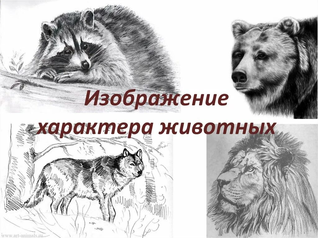 Наброски домашних животных. Изображение характера животных изо 2 класс рисунок. Пошаговая зарисовка животных. Изо 2 класс изображение животного. Изображение характера животных изо 2 класс рисунок.