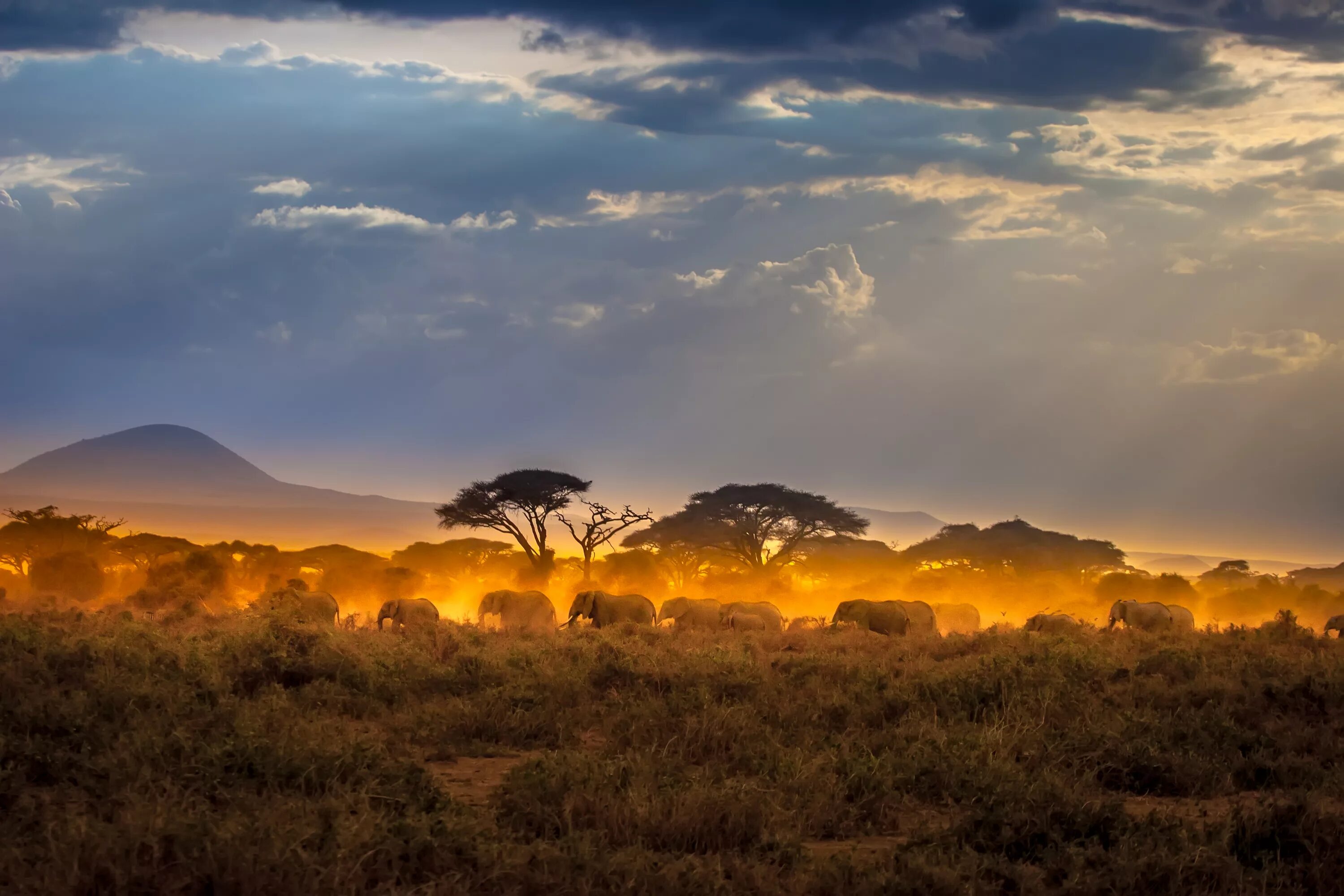 Trip africa. Зимбабве Саванна. Возвышенные равнины Африки. Африка пейзаж. Саванны Африки.