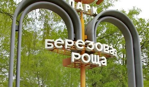 Березовая роща новосибирск адрес
