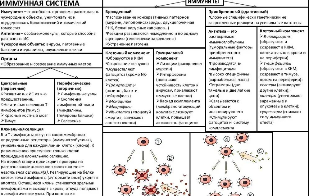 Выявленные изменения характерные для