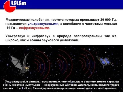 Шум это акустические колебания возникающие на
