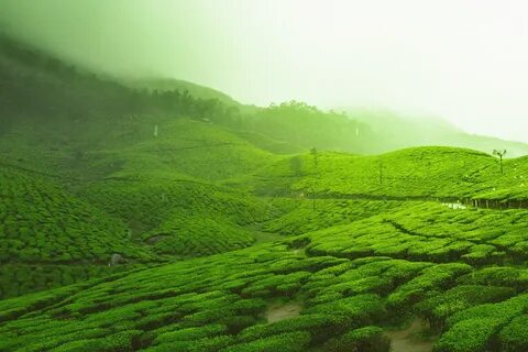 Environment geography