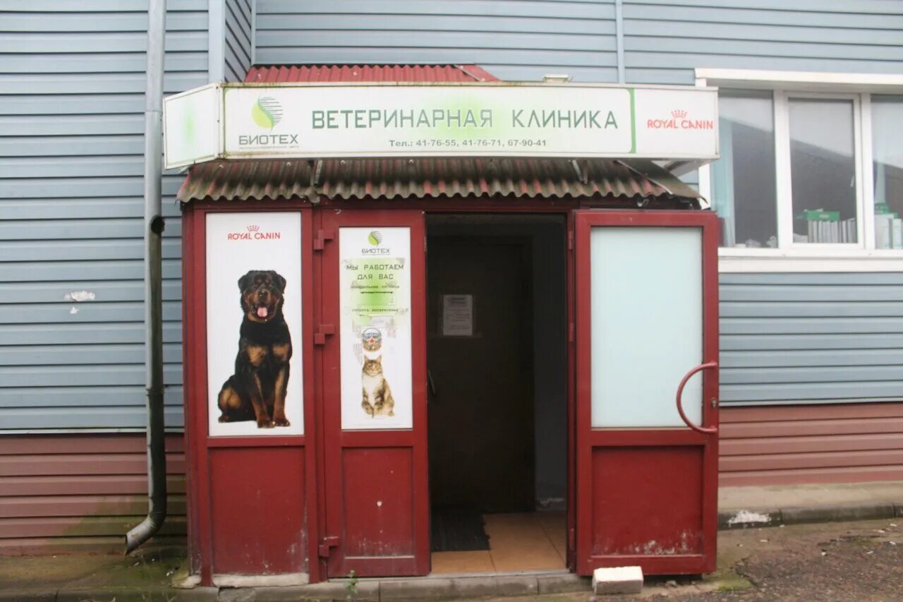 ветклиники смоленск адреса. ветлечебница на шевченко 1/35 смоленск. ветклиники смоленск адреса. ветеринарка в смоленске. ветеринарная клиника смоленск ул николаева д.